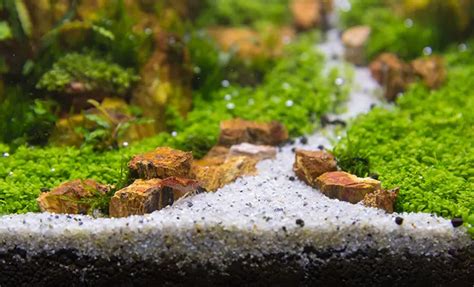 Esquema de las capas del sustrato en un acuario plantado