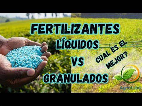 Infografía comparativa entre fertilizantes granulados y líquidos
