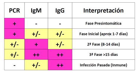 esquema de la dinámica de anticuerpos IgG e IgM en toxoplasmosis