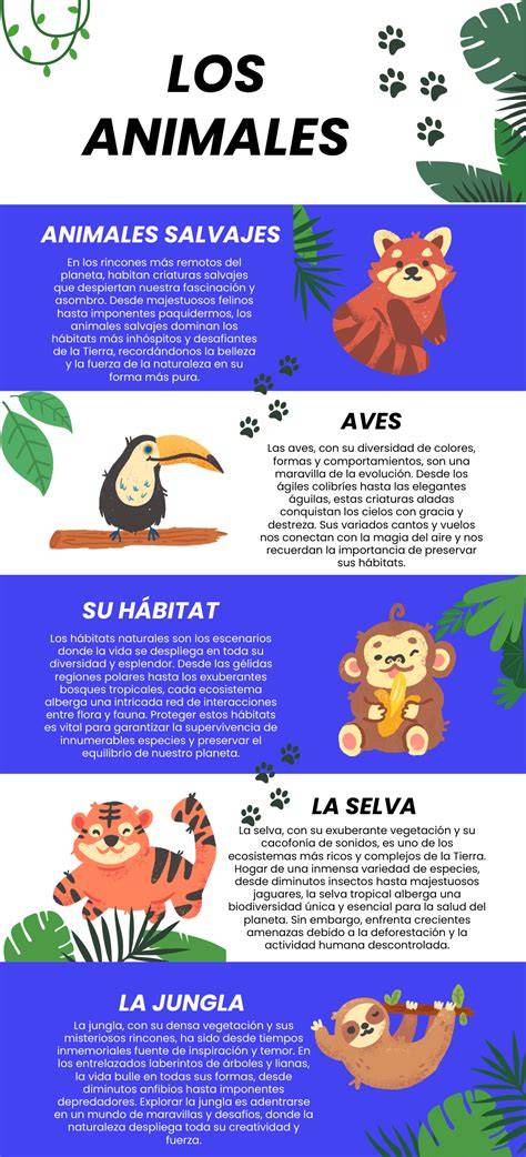 Infografía sobre los tipos de cookies y su función