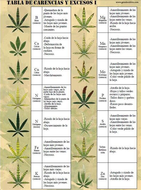 Tabla ilustrativa de carencias y excesos de nutrientes en plantas de cannabis