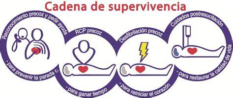 infografía de la cadena de supervivencia en RCP pediátrica