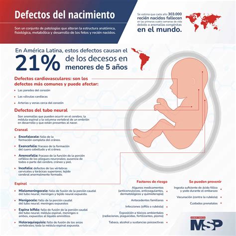 Infografía sobre los defectos de nacimiento asociados al Síndrome Congénito del Zika