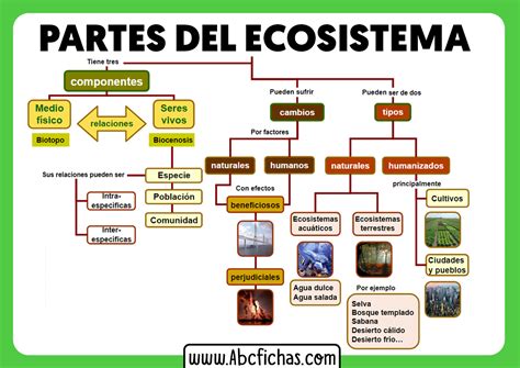 Esquema de un ecosistema agrícola biodinámico con sus componentes principales