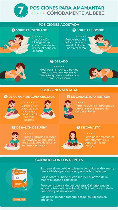 Esquema sobre las posiciones correctas y ergonómicas para amamantar al bebé de forma cómoda