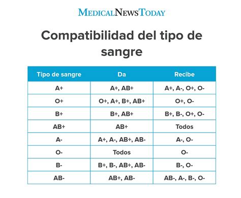 Infografía que muestra los tipos de sangre (A, B, AB, O) y los factores Rh (positivo y negativo) con sus posibles combinaciones y el concepto de anticuerpos.