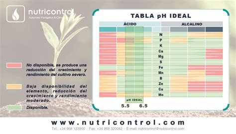 Infografía que muestra los efectos de la CE baja (deficiencia) y CE alta (toxicidad/quemaduras) en las raíces y el crecimiento de una planta.