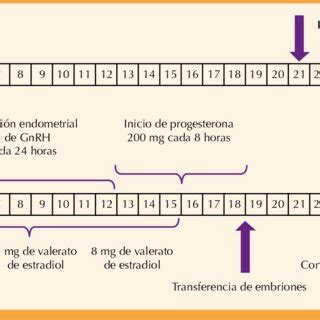 Esquema de la preparación endometrial