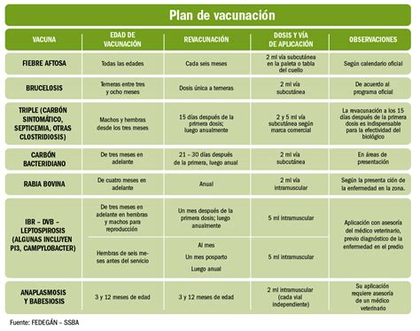 Esquema de un programa de vacunación para toros