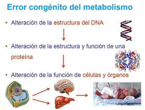 Diagrama de flujo para el diagnóstico de errores congénitos del metabolismo en neonatos con acidosis.