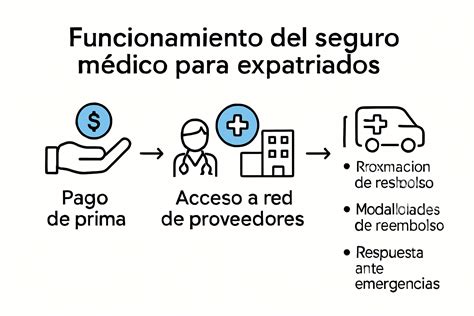 Infografía sobre cómo funciona el seguro médico para servicios de salud reproductiva