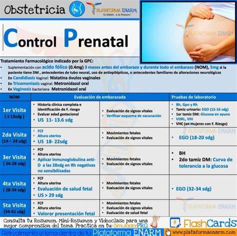 Esquema de los principales controles médicos y pruebas de laboratorio programadas durante el tercer trimestre de gestación.
