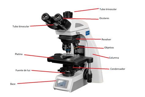 Esquema de un sistema de micromanipulación con microscopio