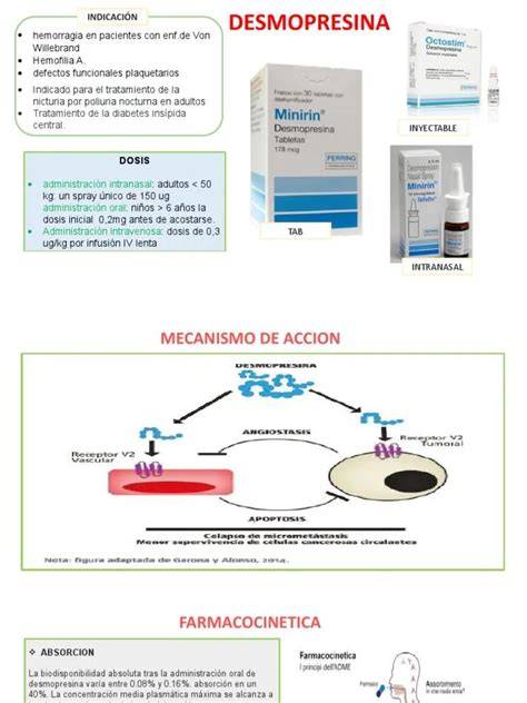 Esquema del mecanismo de acción de la desmopresina en los túbulos colectores renales para la concentración de orina.
