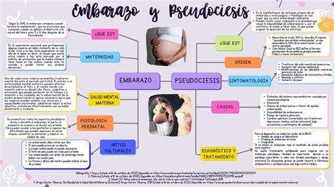 Esquema de las diferencias entre un embarazo real y la pseudociesis