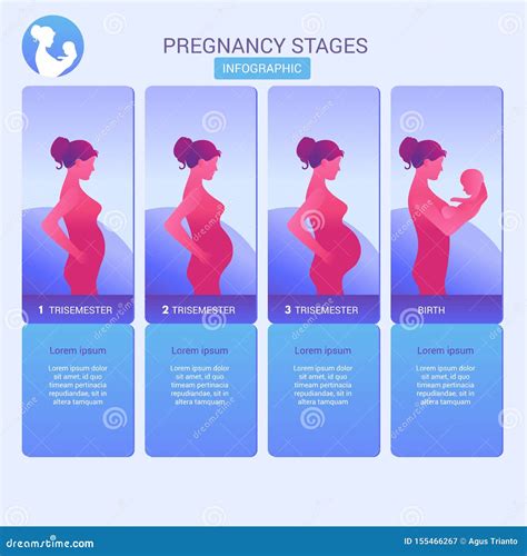Infografía con iconos que representan diferentes etapas del embarazo y la maternidad