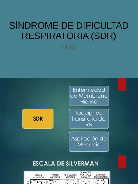 Infografía comparativa de la incidencia del Síndrome de Dificultad Respiratoria (SDR) según la edad gestacional del recién nacido.