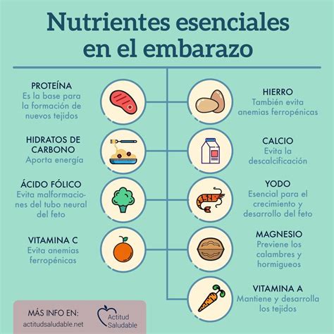 Infografía sobre los nutrientes esenciales para el desarrollo fetal en el embarazo.