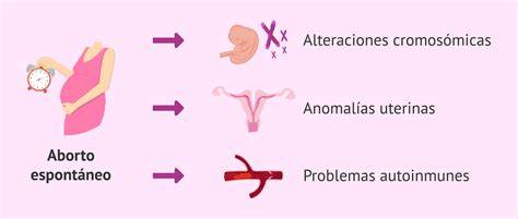Diagrama de flujo que ilustra las causas comunes de aborto espontáneo (genéticas, maternas, infecciosas, etc.).