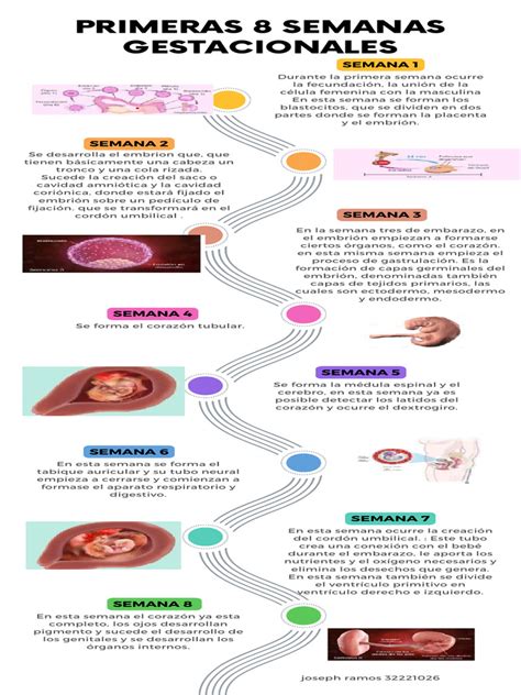 Infografía sobre las complicaciones gestacionales asociadas a la formación de coágulos en la microvasculatura placentaria.