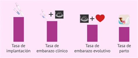 Gráfico comparativo de las tasas de éxito en reproducción asistida.