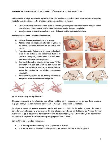 Fotografía o esquema de cómo realizar la extracción manual de leche materna.