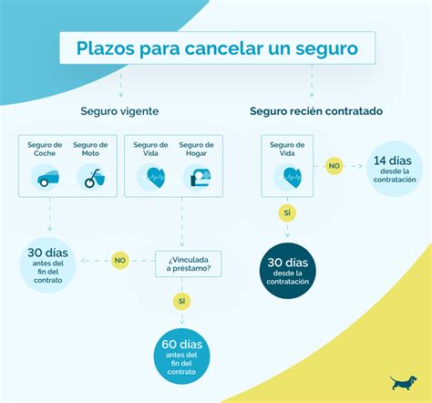 Infografía: Motivos válidos para cancelar un seguro fuera de plazo