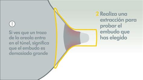Infografía comparativa sobre cómo medir el tamaño del pezón para elegir el protector adecuado