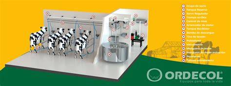 Esquema de funcionamiento de una máquina de ordeño mecánico, mostrando el flujo de vacío y leche.