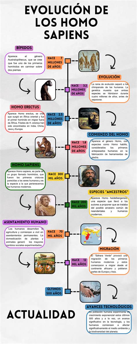 infografía sobre la evolución de la legislación del complemento de paternidad/maternidad en España