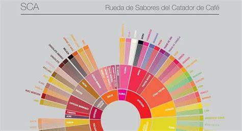 Tabla comparativa de perfiles de sabor de diferentes quesos