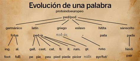 Esquema lingüístico: evolución del término lancea desde el latín al castellano medieval