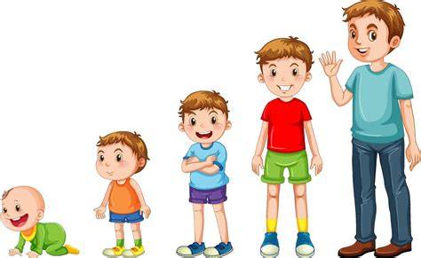 Gráfico comparativo del crecimiento del niño y el ajuste del reposacabezas en la silla Firma