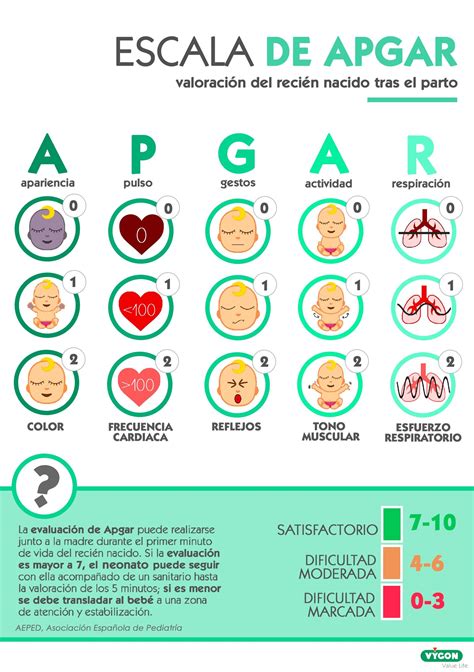 Esquema de un recién nacido bajo evaluación médica