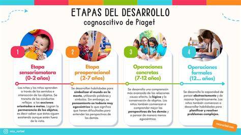 Esquema de las etapas del desarrollo infantil