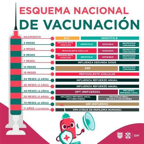 Esquema de investigación y desarrollo en vacunas pediátricas liderado por el Dr. Javier Díez Domingo