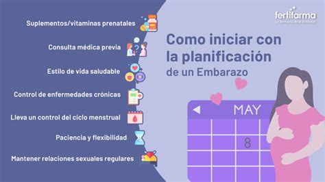 Infografía sobre la planificación del embarazo: desde el ajuste de tratamientos hasta el manejo de la lactancia
