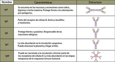 Gráfico comparativo de los tipos de anticuerpos y su relación con la infertilidad.