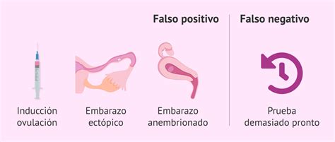 Esquema de las causas de un falso negativo en una prueba de embarazo