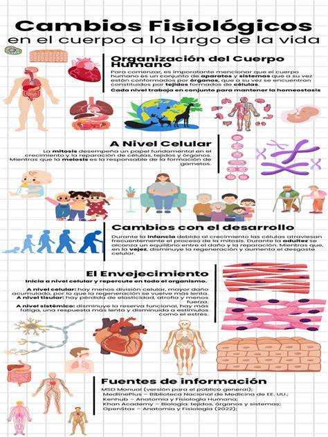 Infografía sobre los cambios fisiológicos en el primer trimestre y por qué evitar deportes de alto riesgo
