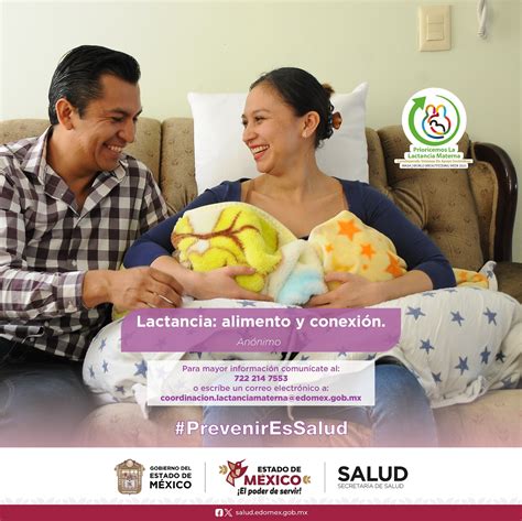 Infografía que ilustra los diferentes niveles de apoyo a la lactancia materna: familiar, comunitario, laboral y político.