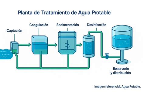 Esquema que muestra el proceso de obtención de agua de cocción: hervido de patatas, filtrado y aplicación como riego en macetas.