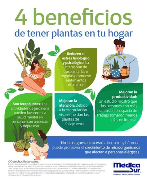 Infografía: Beneficios de las plantas en el acuario