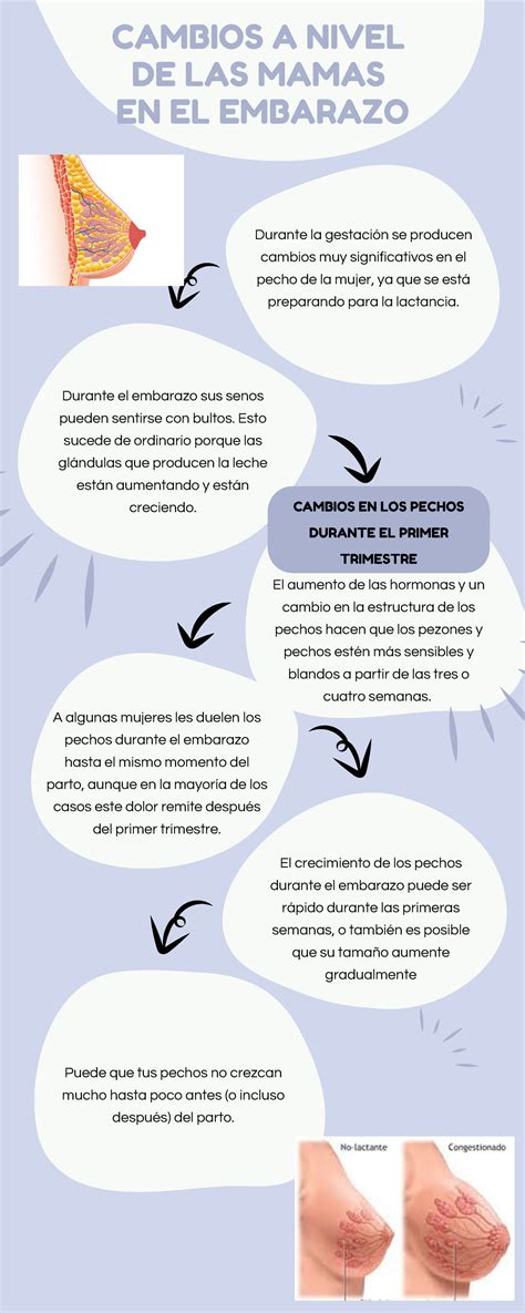 infografía sobre cambios en los senos durante el embarazo temprano