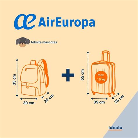 Infografía detallando el equipaje permitido para bebés en cabina y bodega con Air Europa