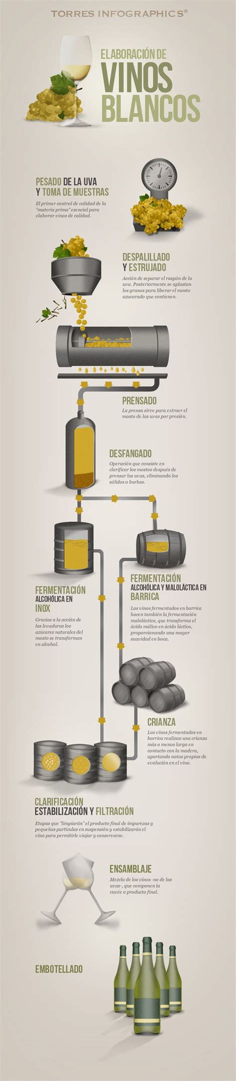 Infografía del proceso de elaboración del sake