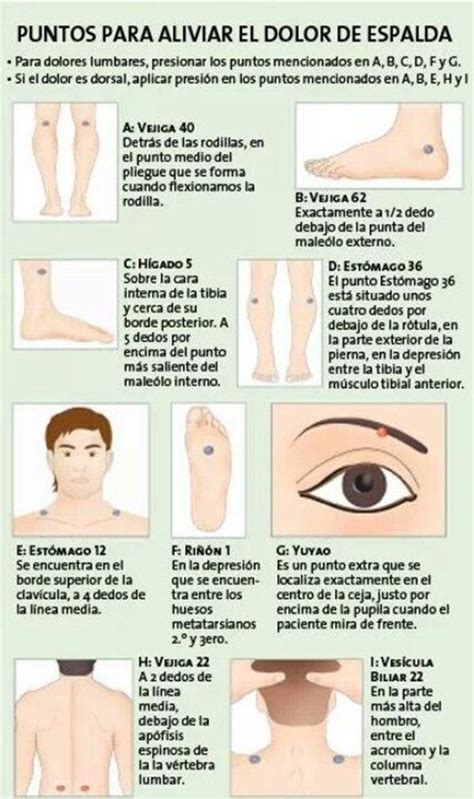 ilustración que muestra los puntos de presión en la espalda y pelvis de una mujer embarazada de 33 semanas