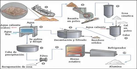 Diagrama mostrando el proceso de obtención y plantación de un esqueje de cuna de Moisés.