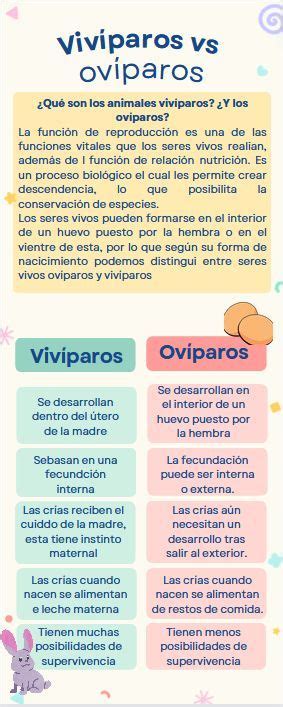 Esquema comparativo que muestra la diferencia entre el desarrollo externo (ovíparo) y el desarrollo retenido en el cuerpo materno (ovovivíparo y vivíparo).
