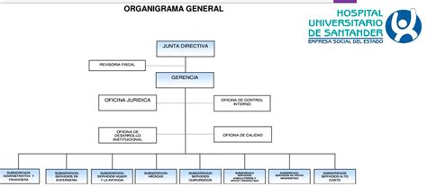 Esquema de la estructura docente y rotaciones clínicas en el Hospital Universitario de Móstoles